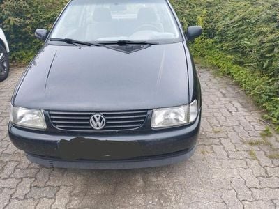 VW Polo