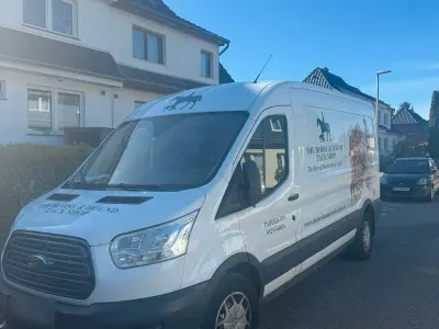 Gebraucht Ford Transit 177 PS (130 kW) 2018 Weiß Van / Kleinbus