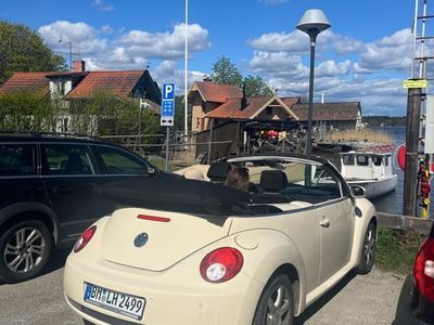 VW Beetle