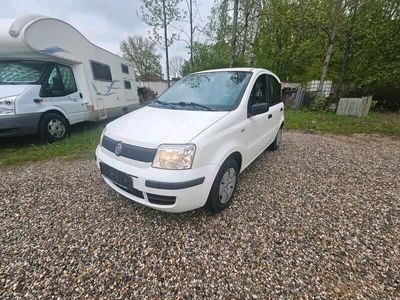 gebraucht Fiat Panda Euro 4 Scheckheft gepflegt Euro4 Tüv 10/24