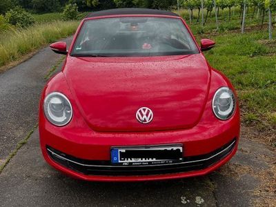 VW Beetle