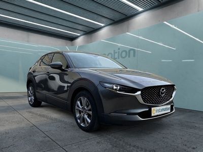 Gebraucht Mazda CX-30 Selection 150 PS (110 kW) 2020 Grau SUV