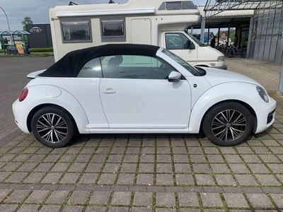 gebraucht VW Beetle 1.2 TSI BMT SOUND Cabriolet SOUND