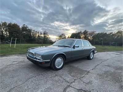Gebraucht Jaguar XJ 226 PS (166 kW) 1993 Grau Limousine