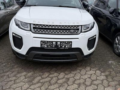 Gebraucht Land Rover Range Rover evoque SE Dynamic 179 PS (131 kW) 2019 Fuji white SUV