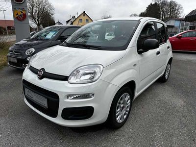 gebraucht Fiat Panda 1.2 Easy