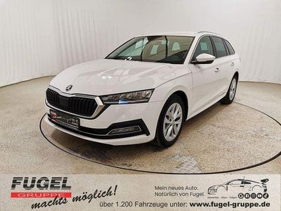 Gebraucht Skoda Octavia Style 116 PS (85 kW) 2023 Candyweiss Kombi