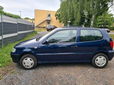 VW Polo