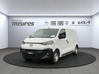 Weiss Neu 2025 Fiat Scudo Basis Van | 27.480 € (Fairer Preis)