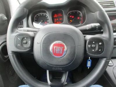 Gebraucht Fiat Panda 69 PS (50 kW) 2020 Weiß Kleinwagen