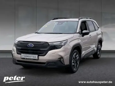 Gebraucht Subaru Forester