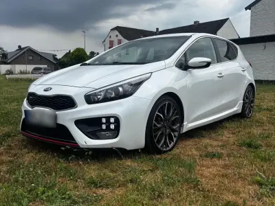 Gebraucht Kia Ceed GT GT 203 PS (149 kW) 2014 Weiß Kombi