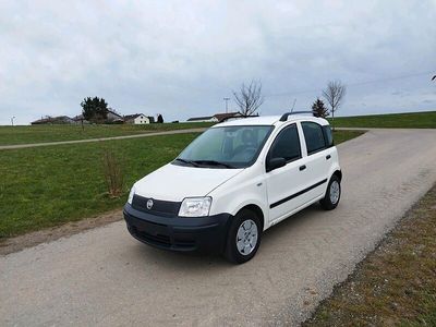 gebraucht Fiat Panda 1.1 / 54 PS / TÜV 06/2024