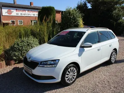 Gebraucht Skoda Fabia Ambition 95 PS (69 kW) 2019 Weiß Kleinwagen