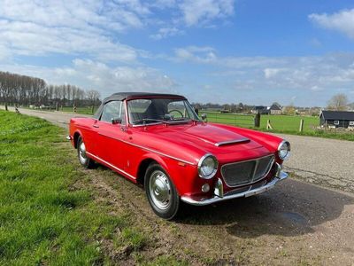 gebraucht Fiat 1200 SPIDER - 1960 - der Sommer kommt!