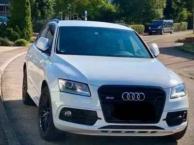 Gebraucht Audi SQ5 Comfort 313 PS (230 kW) 2015 Weiß SUV