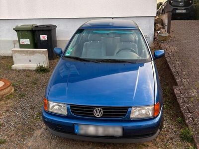 VW Polo