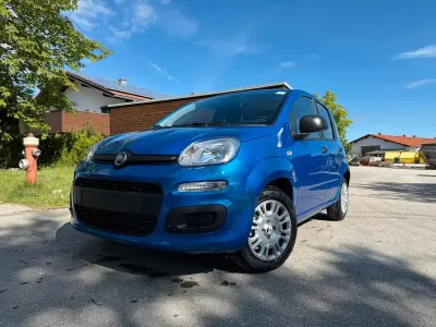 Brugt Fiat Panda