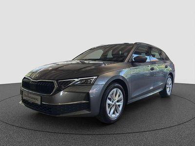 Gebraucht Skoda Octavia Selection 150 PS (110 kW) 2024 Grau Kombi