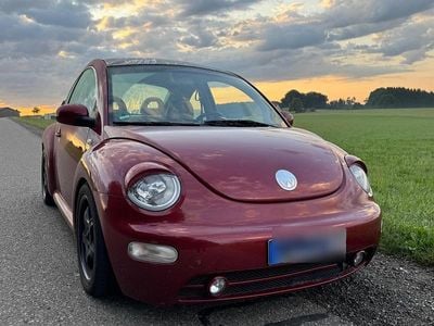 VW Beetle