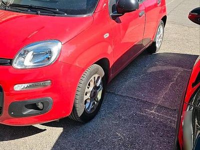 Begagnad Fiat Panda 69 HK (50 kW) 2018 Röd Halvkombi