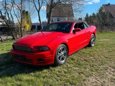 Brugt Ford Mustang 317 HK (233 kW) 2013 Cabriolet