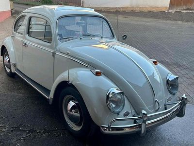 Gebraucht VW Käfer 34 PS (25 kW) 1964 Andere farben Kleinwagen