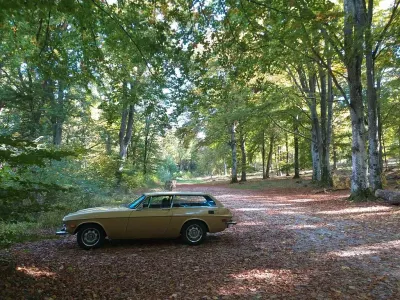 Brugt Volvo P1800 124 HK (91 kW) 1973 Guld Coupe