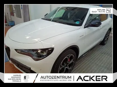 Gebraucht Alfa Romeo Stelvio Veloce 210 PS (154 kW) 2024 Weiss SUV
