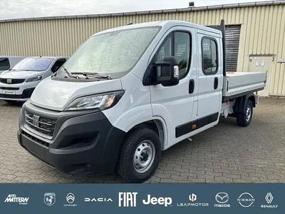 Weiß Gebraucht 2024 Fiat Ducato Van | 32.713 € (Superpreis)