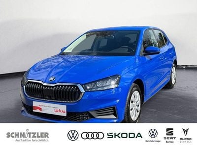 Usata Skoda Fabia Active 65 CV (47 kW) 2022 Blu Utilitaria