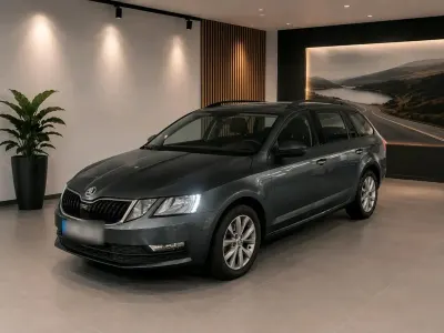 Gebraucht Skoda Octavia 116 PS (85 kW) 2018 Grau Kombi