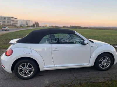 gebraucht VW Beetle Beetle TheCabriolet 1.4 TSI Sound