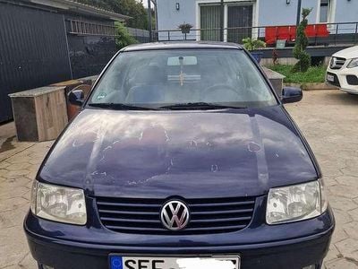 VW Polo