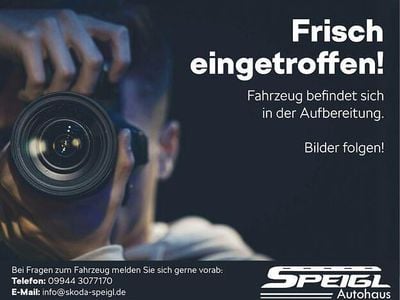 Usata Skoda Fabia Soleil 95 CV (69 kW) 2019 Blu Utilitaria