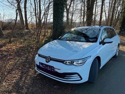 Gebraucht VW Golf VIII 150 PS (110 kW) 2023 Weiß Kombi