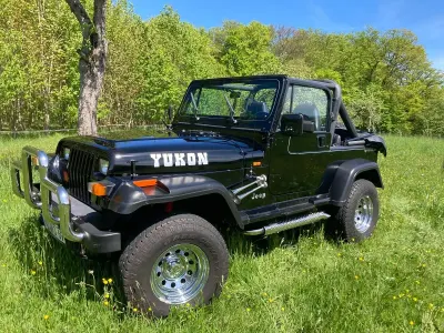 Gebraucht Jeep Wrangler 178 PS (130 kW) 1993 Schwarz SUV
