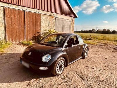 VW Beetle