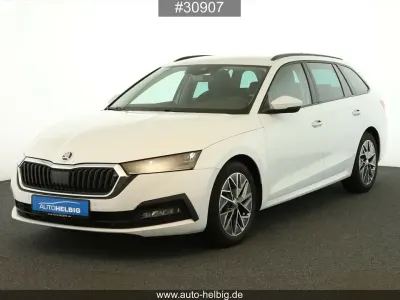 Gebraucht Skoda Octavia