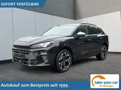 Brugt Cupra Terramar