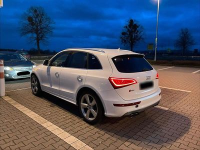 Brugt Audi SQ5 S-Line 313 HK (230 kW) 2014 Hvid SUV