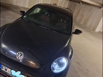 VW Beetle