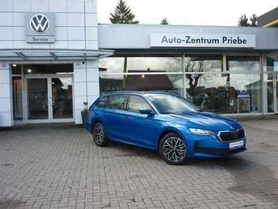 Gebraucht Skoda Octavia Essence 116 PS (85 kW) 2026 Raceblau metallic Kombi