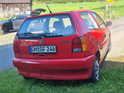 VW Polo