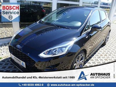 Gebraucht Ford Fiesta ST-Line 125 PS (91 kW) 2019 Schwarz Kleinwagen