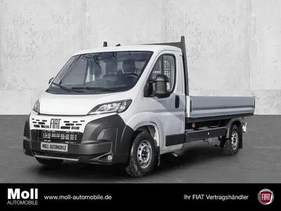 Weiss Neu 2025 Fiat Ducato Van | 36.880 € (Etwas zu teuer)