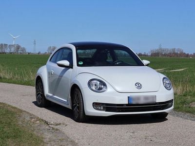 VW Beetle