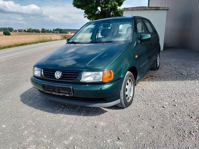 VW Polo