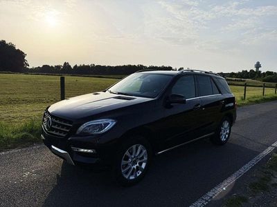 Mercedes ML350