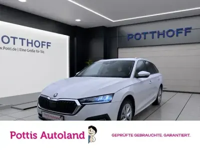 Gebraucht Skoda Octavia Style 150 PS (110 kW) 2023 Candyweiß Kombi